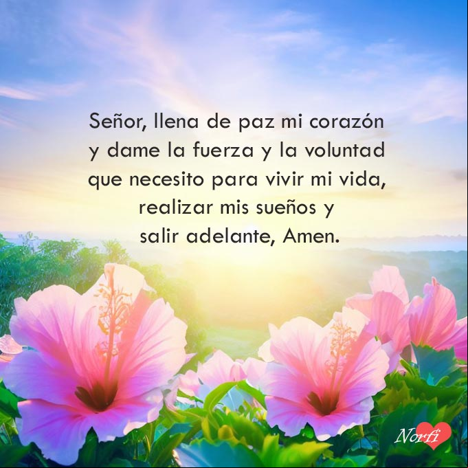 Señor, llena de paz mi corazón, y dame la fuerza y la voluntad que necesito para vivir mi vida, realizar mis sueños y salir adelante, Amen Flores de Hibiscus, amanecer en el campo