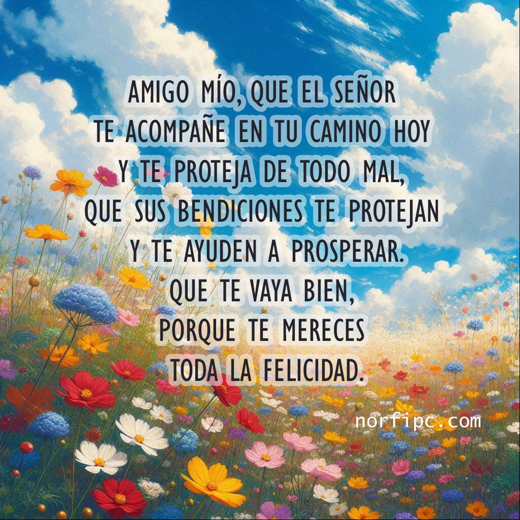 Amigo mío, que el Señor te acompañe en tu camino hoy y te proteja de todo mal, que sus bendiciones te protejan y te ayuden a prosperar Paisaje de prado con flores