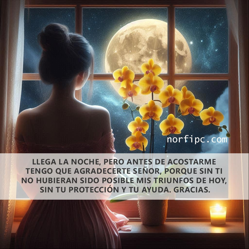 Llega la noche y llega el descanso después de un duro día, pero antes de acostarme tengo que agradecerte a ti Señor, porque sin ti no hubieran sido posible mis triunfos de hoy, sin tu protección y tu ayuda. Gracias Mujer frente a una ventana mirando la luna y el cielo estrellado