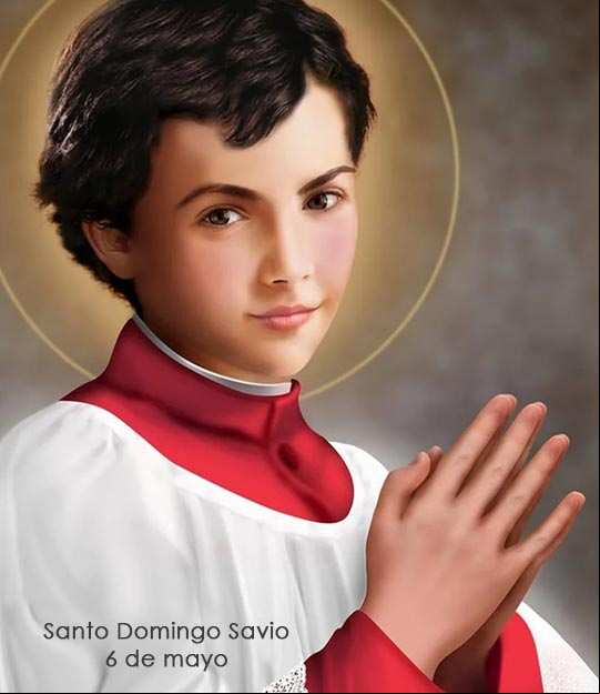 Imagen de Santo Domingo Savio Imagen de Santo Domingo Savio