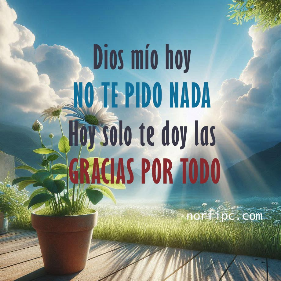 Dios mío, hoy no te pido nada, hoy solo te doy las gracias por todo Maceta con flores y paisaje al amanecer
