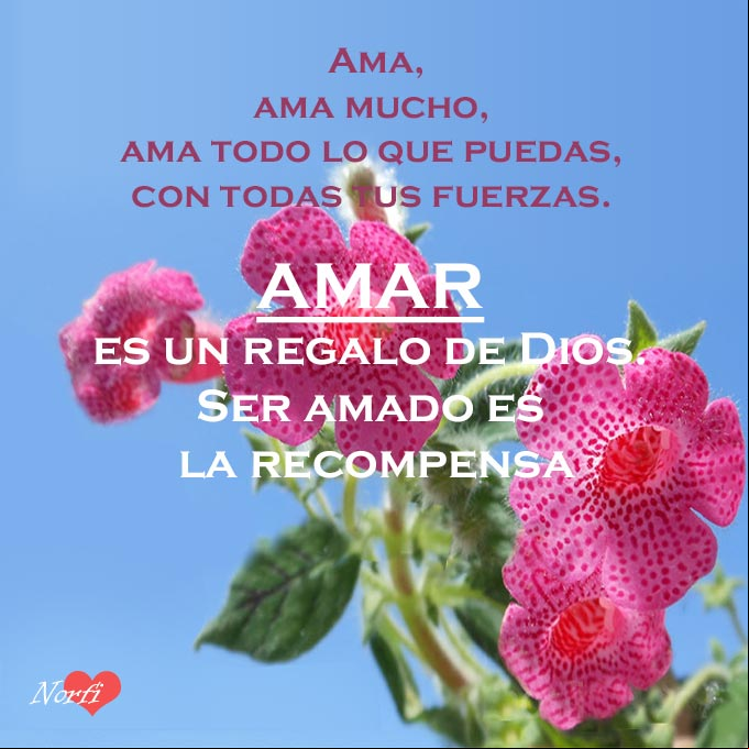 Ama mucho, ama todo lo que puedas, con todas tus fuerzas, AMAR es un regalo de Dios. Ser amado, es la recompensa. Flores de la Kohleria amabilis bajo el cielo azul