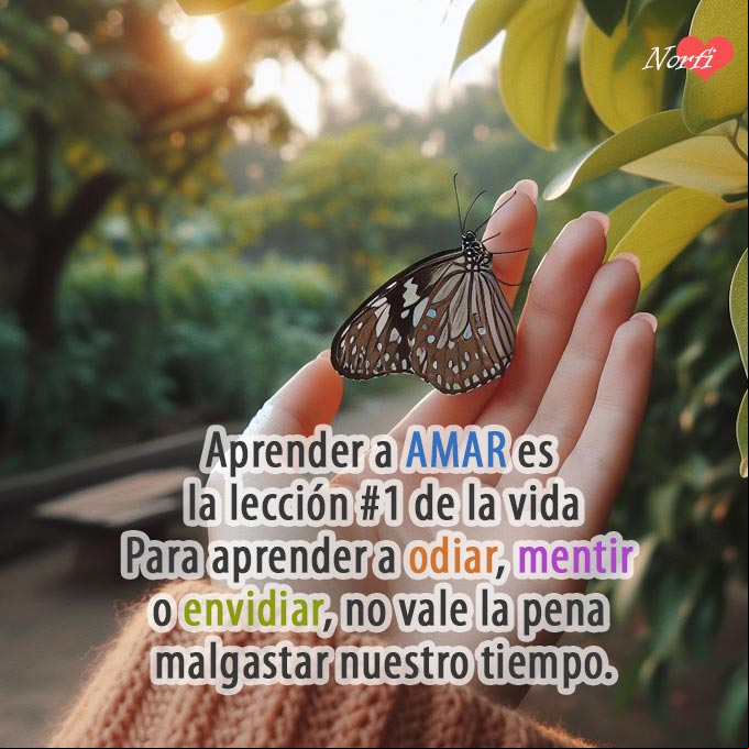 Aprender a AMAR es la lección #1 de la vida. Para aprender a odiar, mentir o envidiar, no vale la pena malgastar nuestro tiempo Mariposa posada en la mano de una mujer,