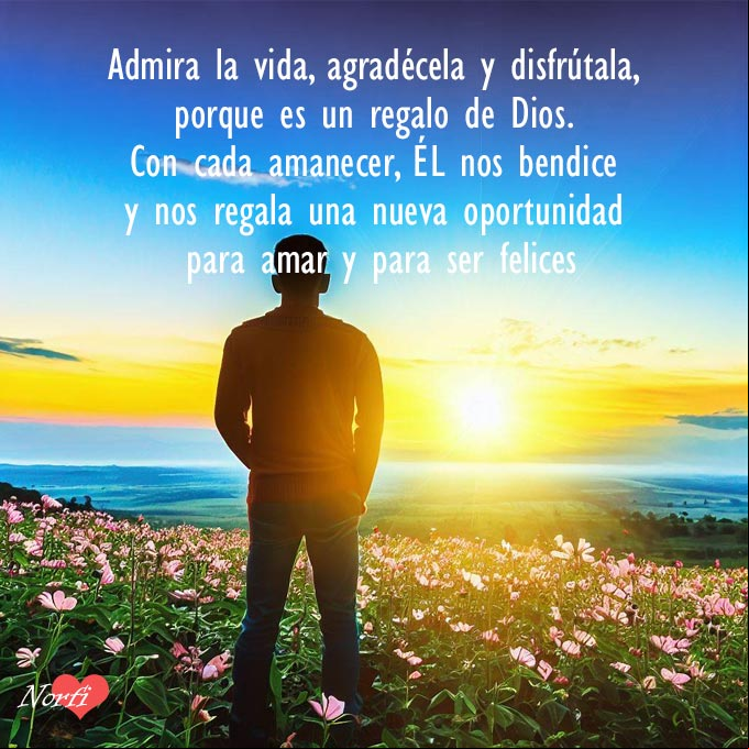 ira la vida, agradécela y disfrútala, porque es un regalo de Dios. Con cada amanecer, ÉL nos bendice y nos regala una nueva oportunidad para amar y para ser felices Persona contemplando el amanecer
