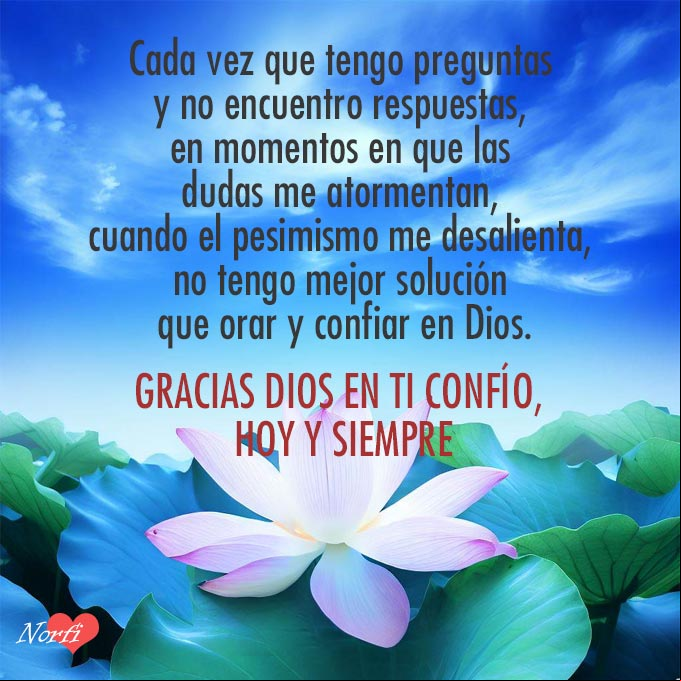Cada vez que tengo preguntas y no encuentro respuestas, en momentos que las dudas me atormentan, cuando el pesimismo me desalienta, no tengo mejor solución que orar y confiar en Dios. Gracias Dios en ti confío, hoy y siempre Estanque con flores de loto