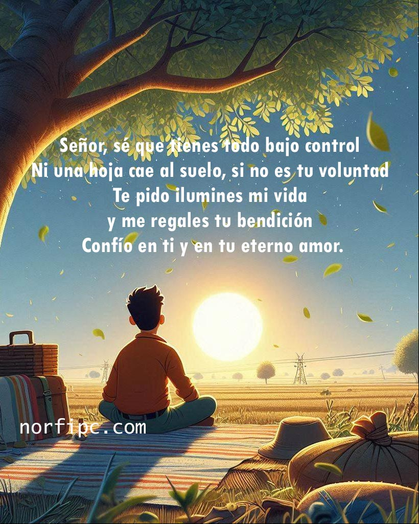 Señor, sé que tienes todo bajo control. Ni una hoja cae al suelo, si no es tu voluntad. Te pido ilumines mi vida y como cada día me regales tu bendición. Confío en ti y en tu eterno amor Chico bajo un árbol mirando el amanecer y orando a Dios