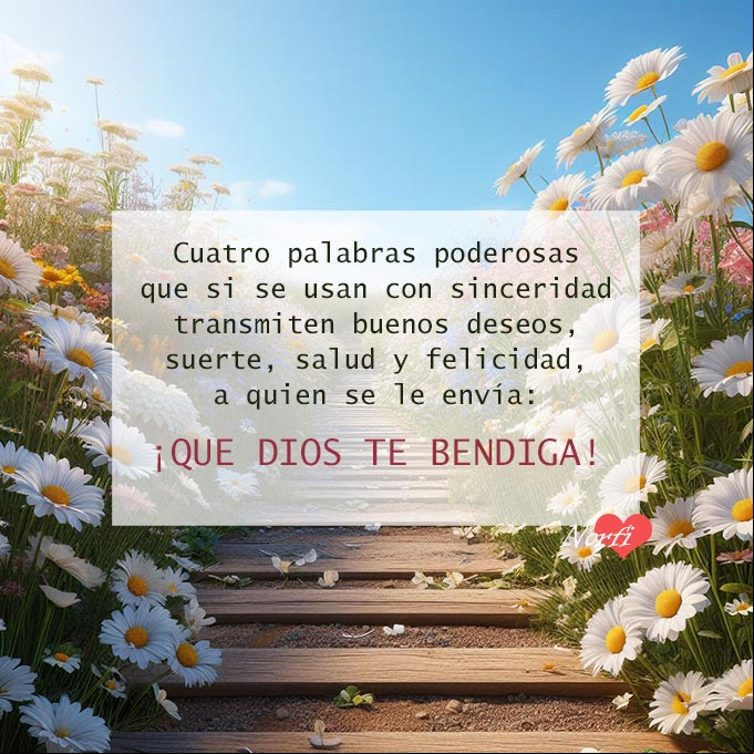 Hay cuatro palabras poderosas que, si se usan con sinceridad, transmiten buenos deseos, suerte, salud y felicidad, a quien se le envía: ¡Que Dios te Bendiga! Camino entre flores