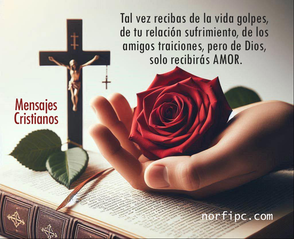 Tal vez recibas de la vida golpes, de tu relación sufrimiento, de los amigos traiciones, pero de Dios, solo recibirás AMOR. Mano sobre una Biblia con una rosa