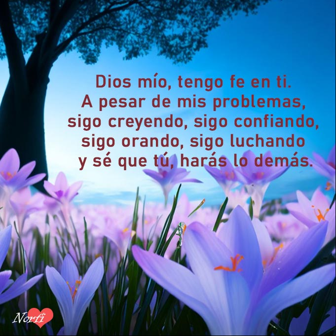Dios mío, tengo fe en ti. A pesar de mis problemas, sigo creyendo, sigo confiando, sigo orando, sigo luchando y sé que tú, harás lo demás Flores de zephyranthes bajo arbol al amanecer