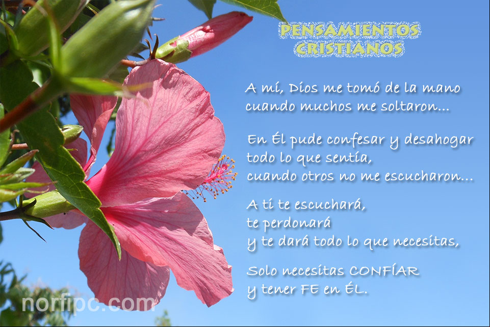 A mí, Dios me tomó de la mano cuando muchos me soltaron.. Imagen con pensamiento cristiano de agradecimiento a Dios