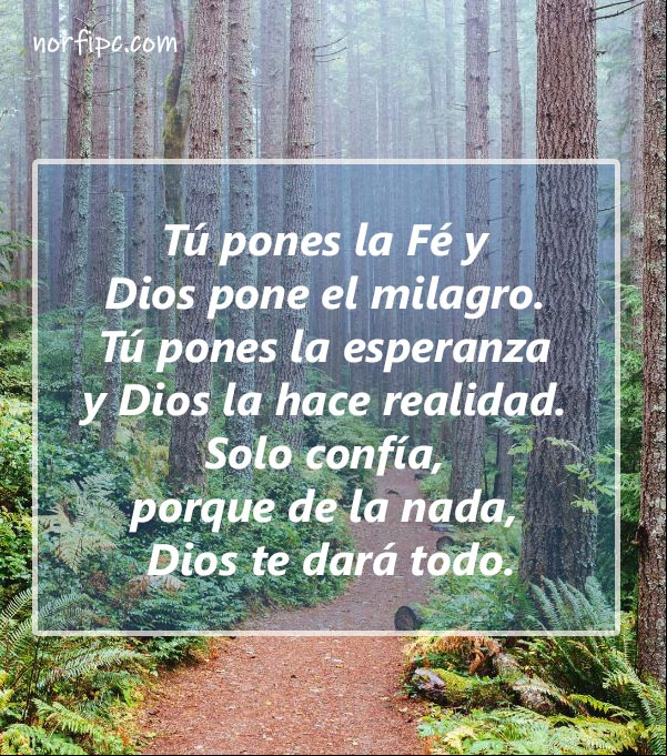 Tú pones la Fé y Dios pone el milagro. Tú pones la esperanza y Dios la hace realidad. Solo confía, porque de la nada, Dios te dará todo Tú pones la Fé y Dios pone el milagro. Tú pones la esperanza y Dios la hace realidad