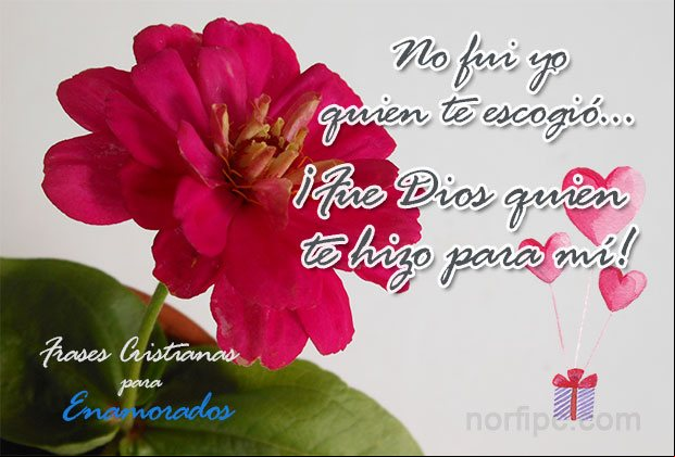 No fui yo quien te escogió ¡fue Dios quien te hizo para mí! Palabras cristianos de amor para mi pareja