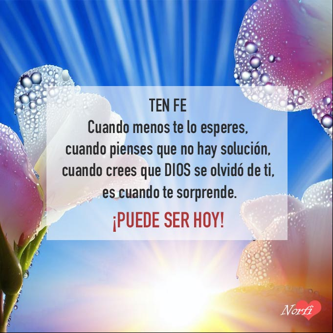 Ten fe. Cuando menos te lo esperes, cuando pienses que no hay solución, cuando crees que DIOS se olvidó de ti, es cuando te sorprende. ¡Puede ser hoy! Rayos del sol detras de flores al amanecer