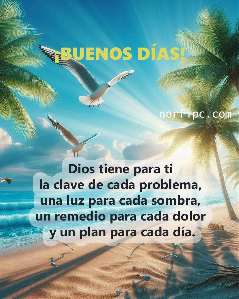 Dios tiene para ti la clave para cada problema, una luz para cada sombra, un remedio para cada dolor y un plan para cada día Paisaje de amanecer en una playa