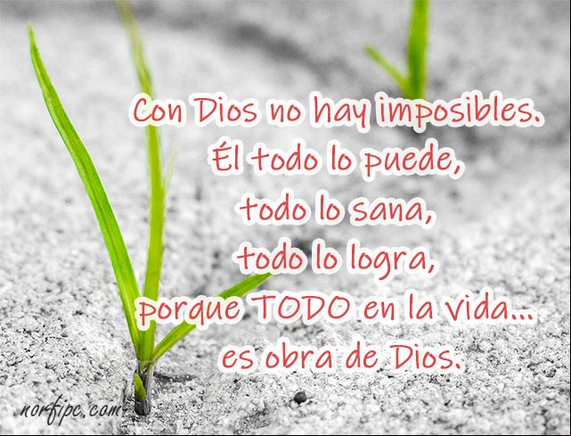Con Dios no hay imposibles. Él todo lo puede, todo lo sana, todo lo logra, porque TODO en la vida, es obra de Dios. #FeDios Dios todo lo puede