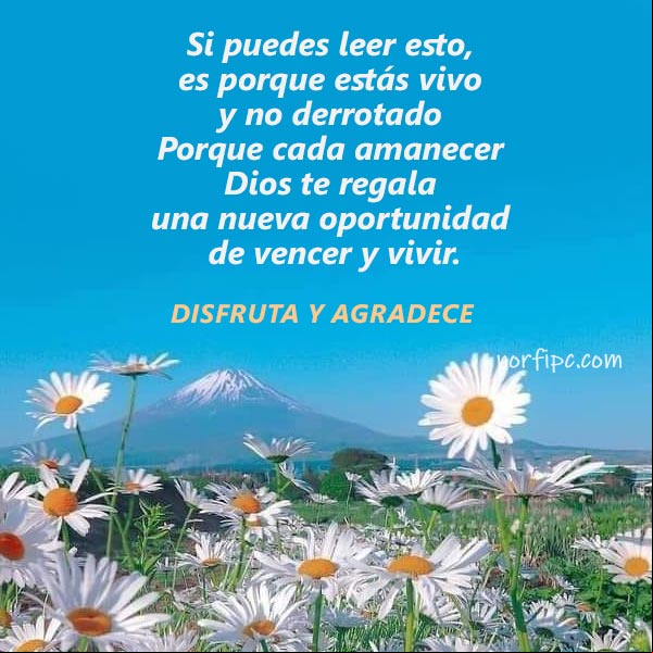 Si puedes leer esto, es porque estás vivo y no derrotado, porque cada amanecer Dios te regala una nueva oportunidad de vencer. #MensajesAliento Disfruta y agradece a Dios