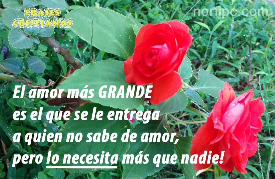 El amor más GRANDE es el que se le entrega a quien no sabe de amor, pero lo necesita más que nadie! Imagen con pensamiento cristiano sobre el amor por nuestros semejantes