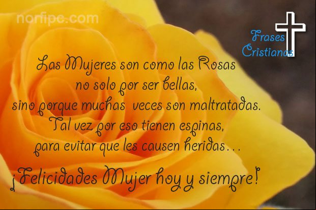 Las mujeres son como las rosas no solo por ser bellas, sino porque muchas veces son maltratadas. Tal vez por eso tienen espinas, para evitar que les causen heridas... Palabras cristianos de amor para mi pareja