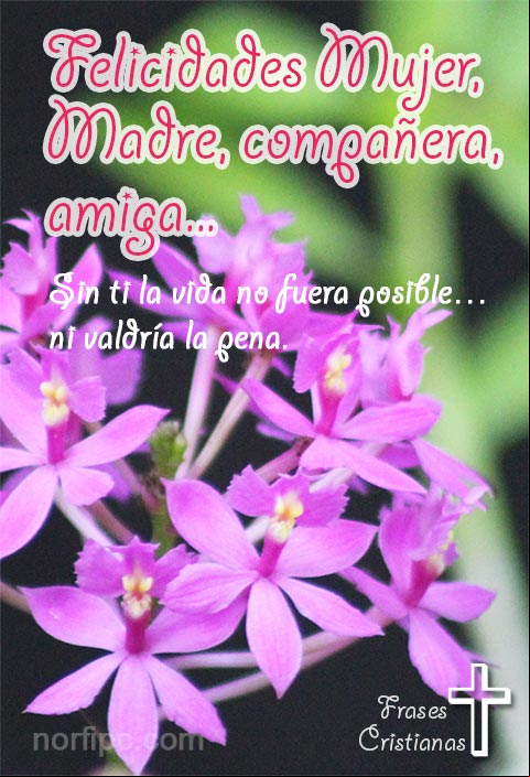 Felicidades Mujer, Madre, compañera, amiga. Felicidades Mujer, Madre, compañera, amiga.
