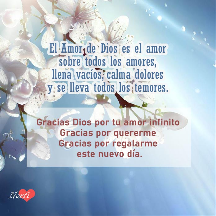 El Amor de Dios es el amor sobre todos los amores, llena vacíos, calma dolores y se lleva todos los temores. Gracias Dios por tu amor infinito, gracias por quererme, gracias por regalarme este nuevo día Flores en la rama de un arbol al amanecer