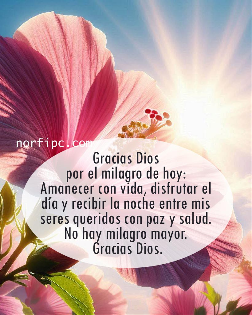 Gracias Dios por el milagro de hoy: Amanecer con vida, disfrutar el día y recibir la noche entre mis seres queridos con paz y salud. No hay milagro mayor. Gracias Dios Flor Marpacifico bajo la luna y noche estrellada