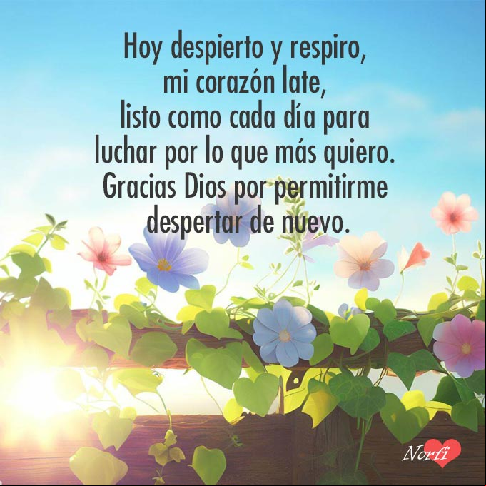 Hoy despierto y respiro, mi corazón late, listo como cada día para luchar por lo que más quiero. Gracias Dios por permitirme despertar de nuevo Flores silvestres en amanecer de nuevo dia