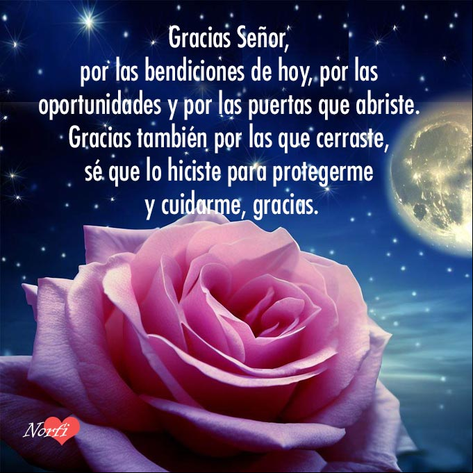 Gracias Señor, por las bendiciones de hoy, por las oportunidades y por las puertas que abriste. Gracias también por las que cerraste, sé que lo hiciste para protegerme y cuidarme, gracias Rosa bajo la luna y las estrellas