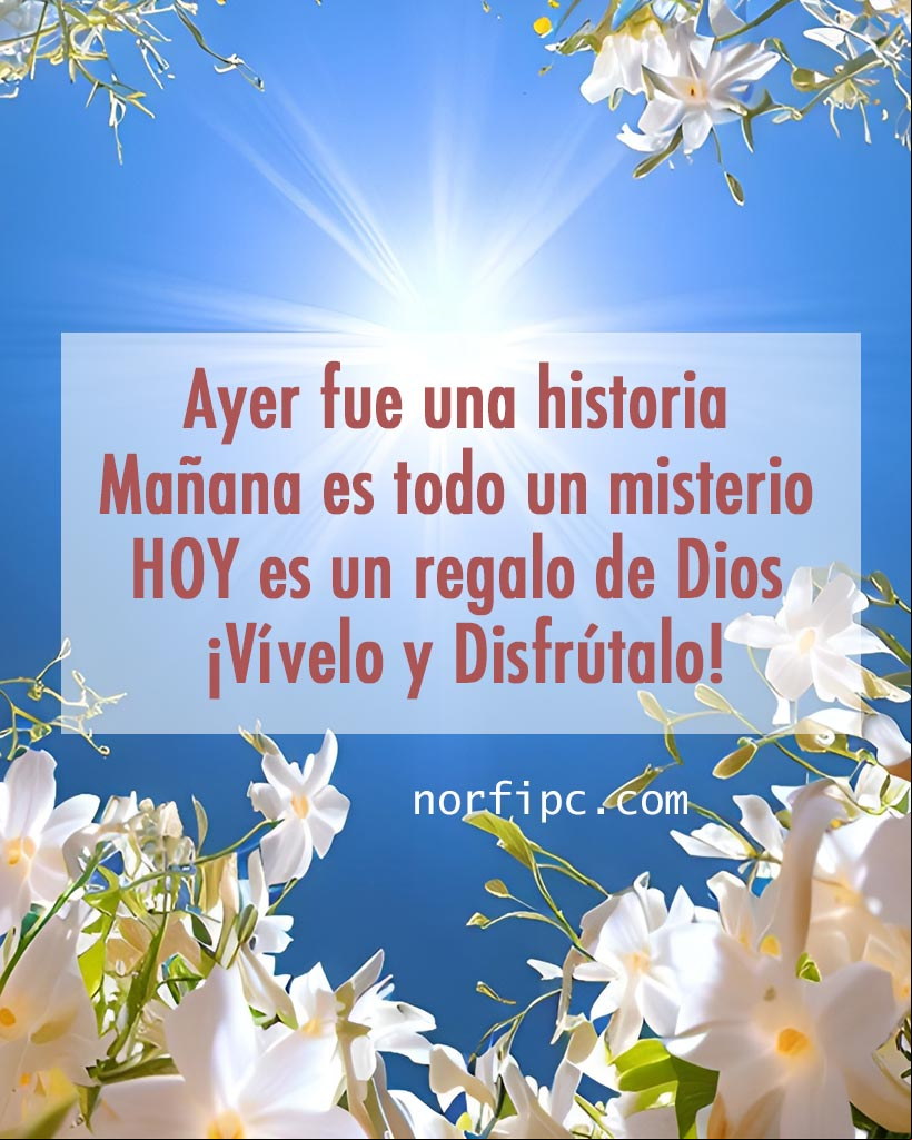 Ayer fue una historia, mañana es todo un misterio, HOY es un regalo de Dios, ¡Disfrútalo! Sale el sol entre flores al amanecer