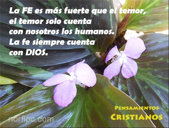 La FE es más fuerte que el temor, el temor solo cuenta con nosotros los humanos, la fe siempre cuenta con DIOS Mensajes cristianos sobre la fe y el temor