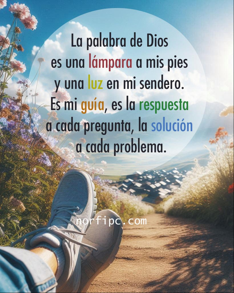 La palabra de Dios es una lámpara a mis pies y una luz en mi sendero. Es mi guía, es la respuesta a cada pregunta, la solución a cada problema Persona sentada mirando el amanecer
