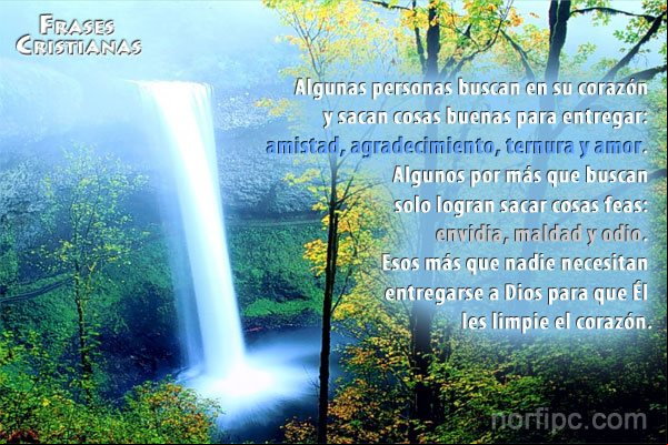 Algunas personas buscan en su corazón y sacan cosas buenas para entregar: "amistad", "agradecimiento", "ternura" y "amor". Frase cristiana: Algunos necesitan que Dios limpie su corazón