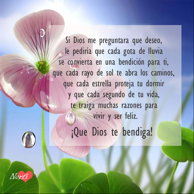 Le pido a Dios que cada segundo de tu vida, te traiga muchas razones para vivir y ser feliz. #Bendiciones Flores de trebol con gotas de rocio al amanecer