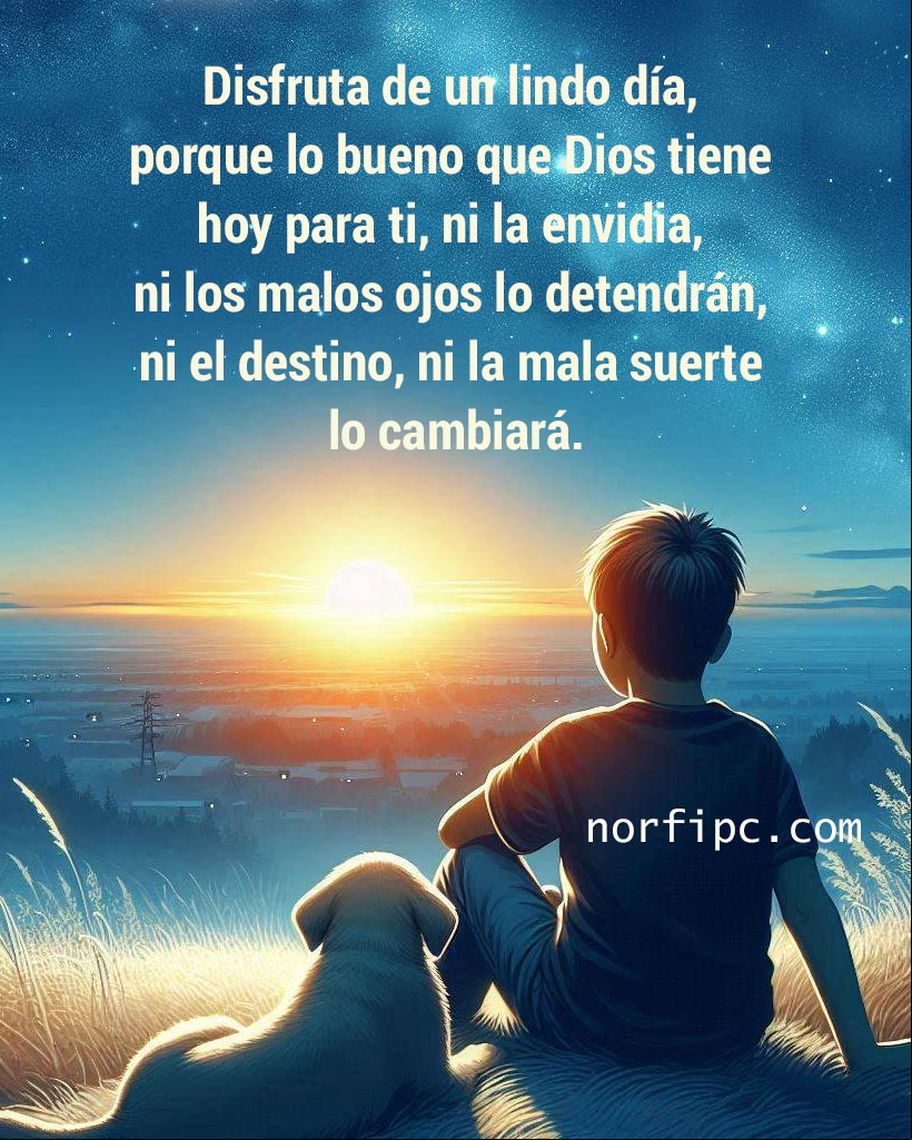 Disfruta de un lindo día, porque lo que Dios tiene para ti, ni la envidia, ni los malos ojos lo detendrá, ni el destino, ni la mala suerte lo cambiará. Chico con su perro mirando el amanecer