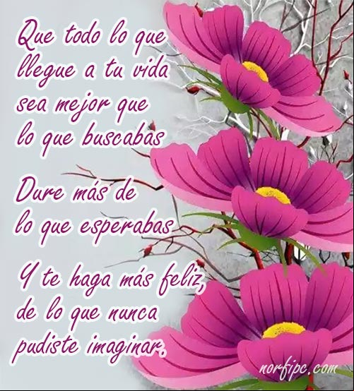 Que todo lo que llegue a tu vida sea mejor que lo que buscabas, dure más de lo que esperabas y te haga más feliz de lo que pudiste imaginar. #Bendiciones Que todo lo que llegue a tu vida sea mejor que lo que buscabas