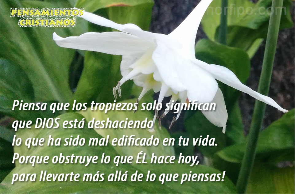 Los tropiezos que recibes solo significan que Dios está deshaciendo lo que ha sido mal edificado en tu vida Imagen con reflexión cristiana sobre los tropiezos y problemas en la vida