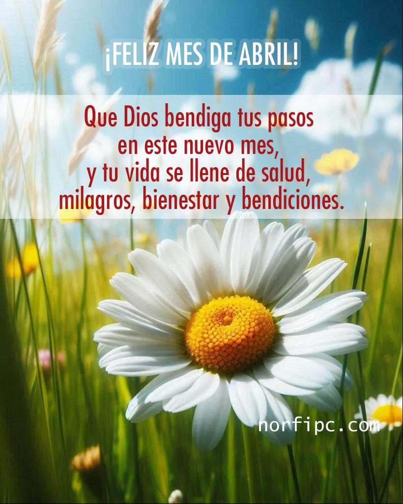 Que Dios bendiga tus pasos en este mes de abril, que tu corazón esté en paz y que tu vida se llene de salud, milagros, bienestar y bendiciones Campo con flores de margaritas