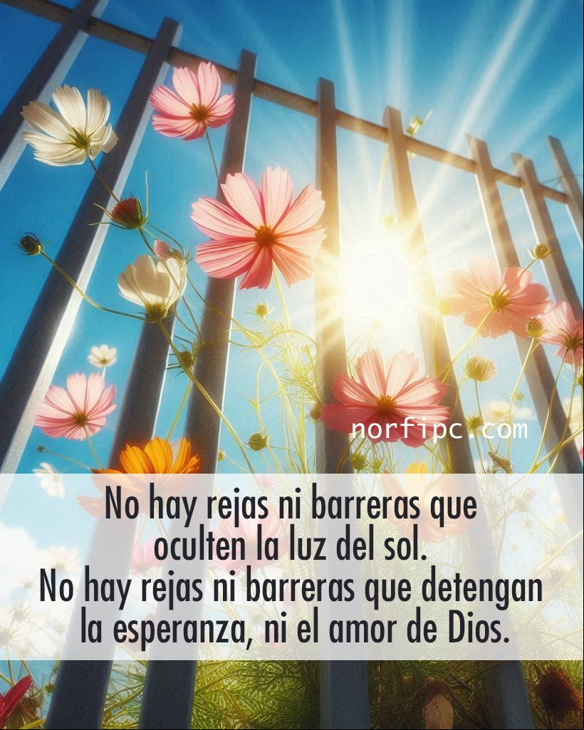 No hay rejas ni barreras que oculten la luz del sol. No existen rejas ni barreras que detengan la esperanza, ni el amor de Dios Flores saliendo entre los barrotes de una reja buscando la luz del sol
