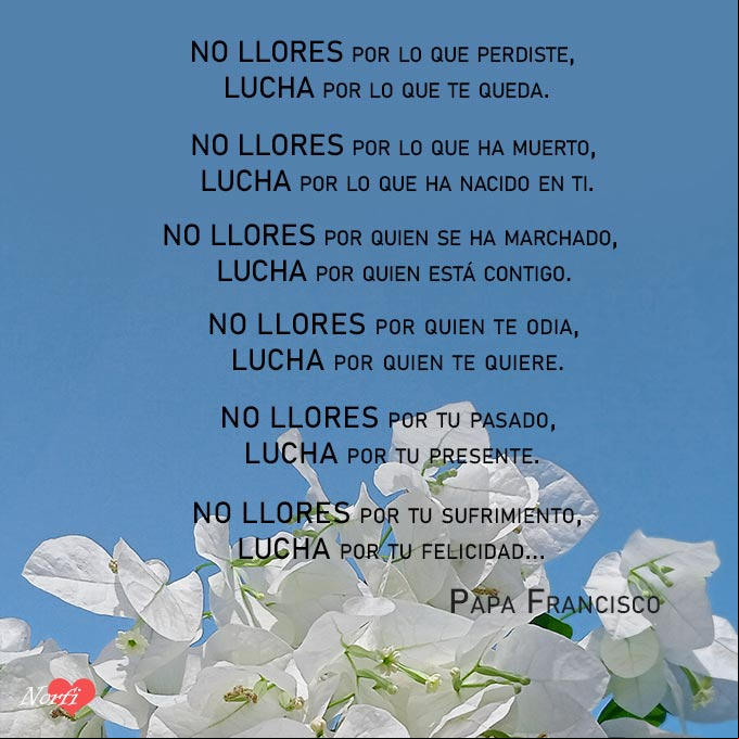 NO LLORES por tu sufrimiento, LUCHA por tu felicidad. Poema del Papa Francisco NO LLORES por tu sufrimiento, LUCHA por tu felicidad. Poema del Papa Francisco