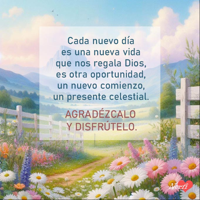 Cada nuevo día es una nueva vida que nos regala Dios, es otra oportunidad, un nuevo comienzo, es un presente celestial. Agradézcalo y disfrútelo Paisaje de prado con flores