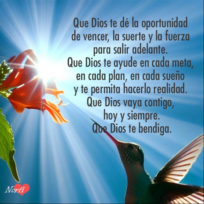 Que Dios te dé la oportunidad de vencer, la suerte y la fuerza para salir adelante. Que Dios te ayude en cada meta, en cada plan, en cada sueño y te permita hacerlo realidad. Que Dios vaya contigo, hoy y siempre. Que Dios te bendiga Colibri libando una flor al amanecer