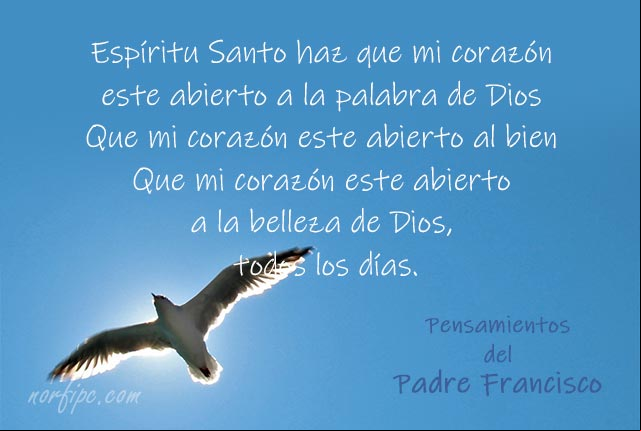 Oración cristiana del #PadreFrancisco para todos los días Oración cristiana del #PadreFrancisco para todos los días