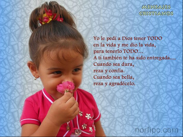 Yo le pedí a Dios tener TODO en la vida y me dio la vida, para tenerlo TODO... Mensajes cristianos para una nueva vida