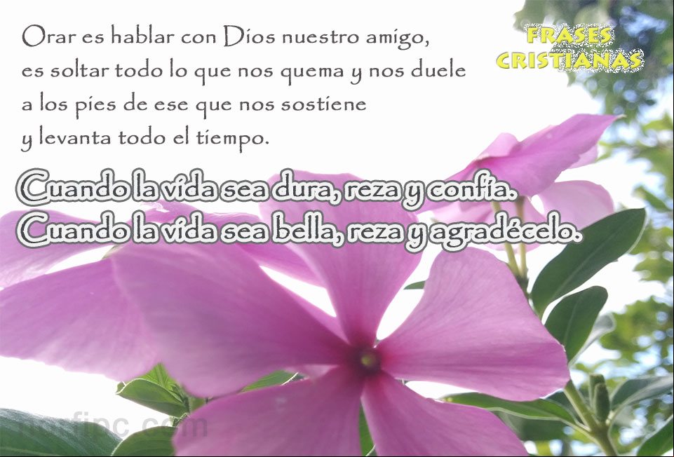 Cuando la vida sea dura, reza y confía. Cuando la vida sea bella, reza y agradécele a Dios Imagen con pensamiento cristiano sobre la confianza en Dios