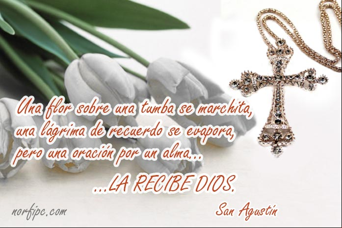 Una flor sobre una tumba se marchita, una lágrima de recuerdo se evapora, pero una oración por un alma, la recibe Dios. Pensamiento de San Agustín Pensamiento de San Agustín sobre la oracion cristiana