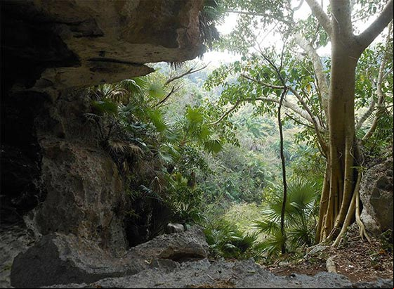 Entrada de la cueva de Aguirre en las Escaleras de Jaruco Entrada de la cueva de Aguirre en las Escaleras de Jaruco