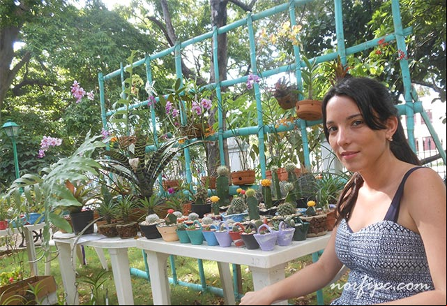 Expo-feria de plantas decorativas en la Quinta de los Molinos Expo-feria de plantas decorativas en la Quinta de los Molinos