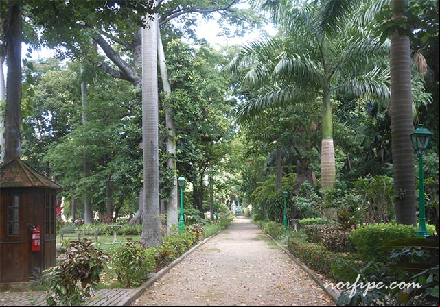 Senderos del Jardín Botánico La Quinta de los Molinos Senderos del Jardín Botánico La Quinta de los Molinos