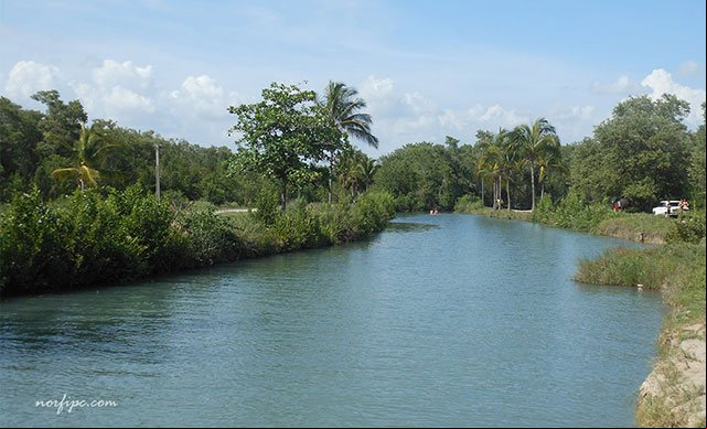 El Rio Mayabeque visto desde "la palmita" El Rio Mayabeque visto desde "la palmita"