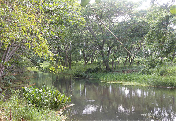 El Rio Mayabeque actualmente donde antes estaba el antiguo Embarcadero