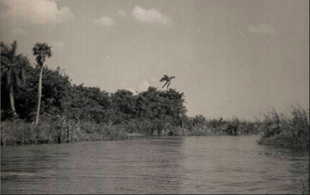 Foto del Rio Mayabeque en la que se puede apreciar el ancho que alcanzaba el rio en algunos lugares Foto del Rio Mayabeque en la que se puede apreciar su ancho